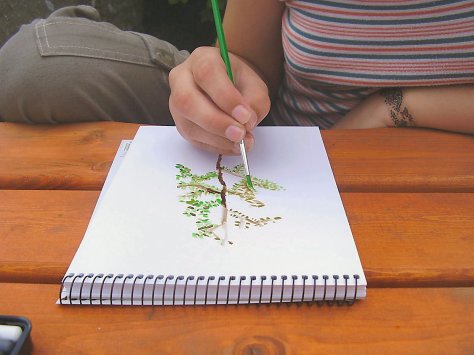 OLYMPUS DIGITAL CAMERA